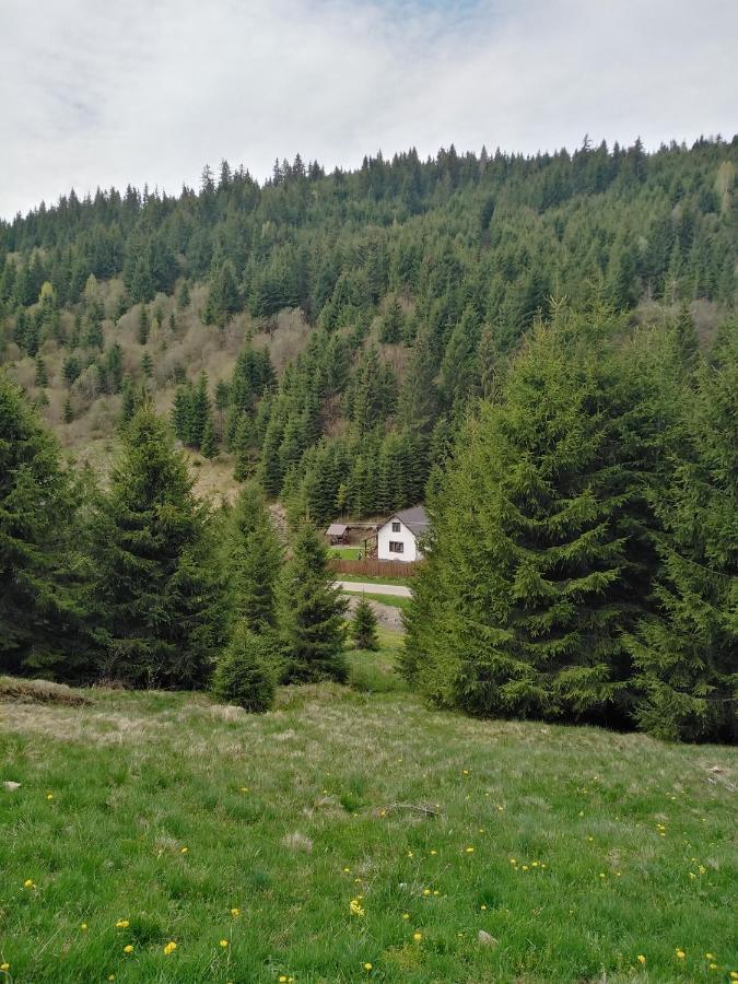 Csillag Kulcsoshaz Villa Gheorgheni  Exterior foto